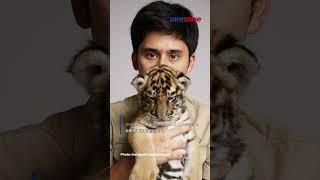 Anak Harimau Asuhan Alshad Mati Netizen Wajar Habitatnya Bukan Di Youtube alshadahmad