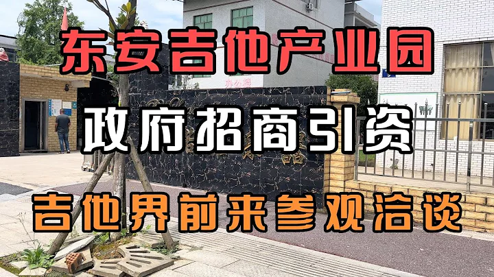 東安吉他產業園政府招商引資吉他界前來參觀洽談當地政府熱情接待 - 天天要聞
