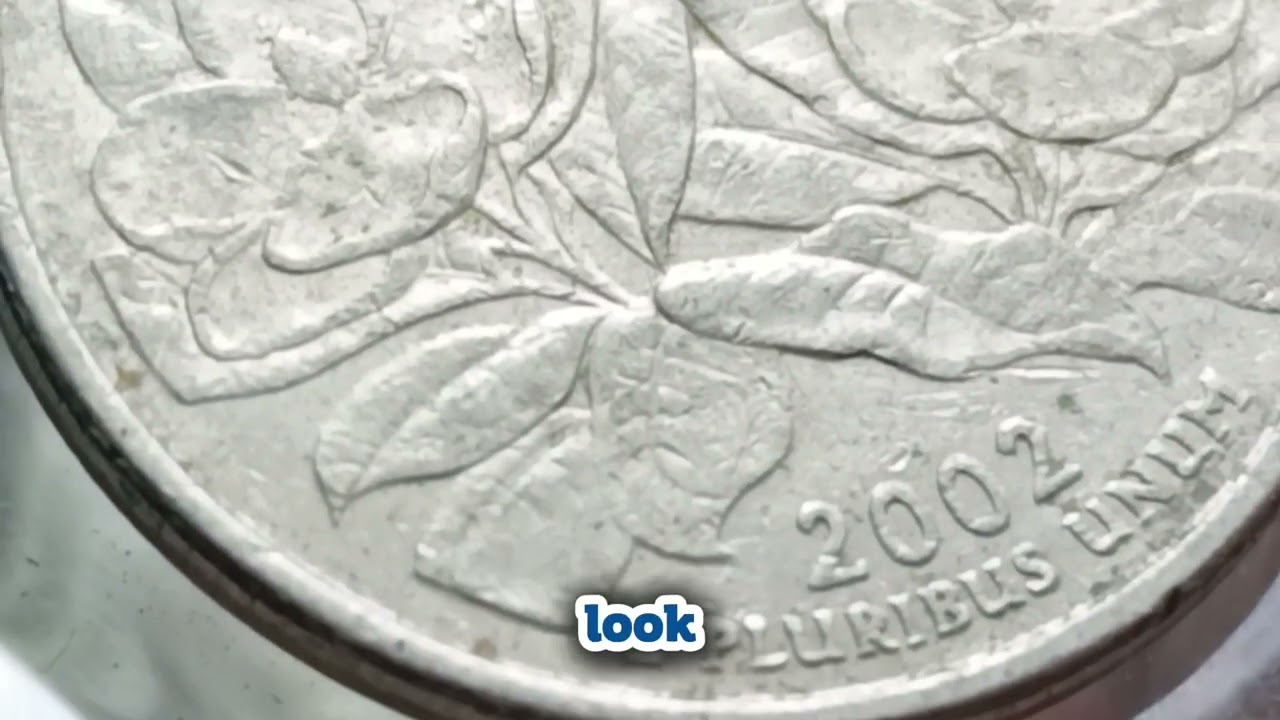 🇺🇸 2002-D Mississippi Quarter Errors Worth $50 to $500+!