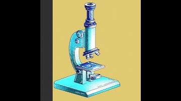 Microscope Cel Shaded - Grease pencil look and feel Blender 3.4.1