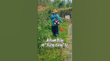 Khách Hàng Test Máy Cắt Cỏ Reload 555 Và Chia Sẻ Video Quá xứng Đáng Với Số Tiền