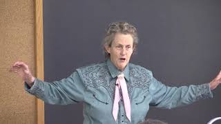 Temple Grandin  General Cattle Handling