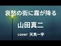 哀愁の街に霧が降る