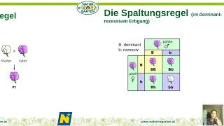 Best of Webinar: Saatgut F1, Samenfest …. - was hat das zu bedeuten?