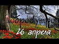 Доброе утро - Выпуск 151 (26.04.2019)