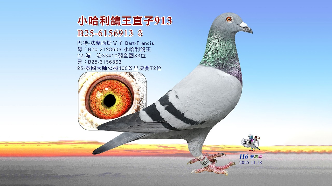 【巴特】B25 6156913