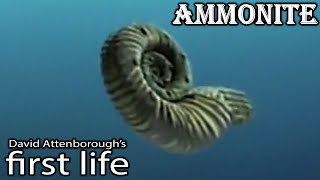 David Attenborough First Life ammonites screen time