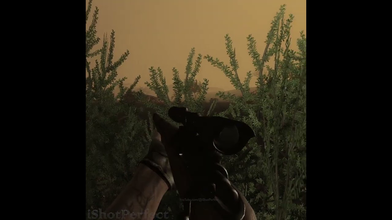 Watch Your Six 💀