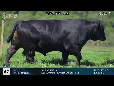 LOTE 067