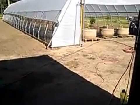 Superimploder ( TheImploder.com ) installed for Growth - YouTube