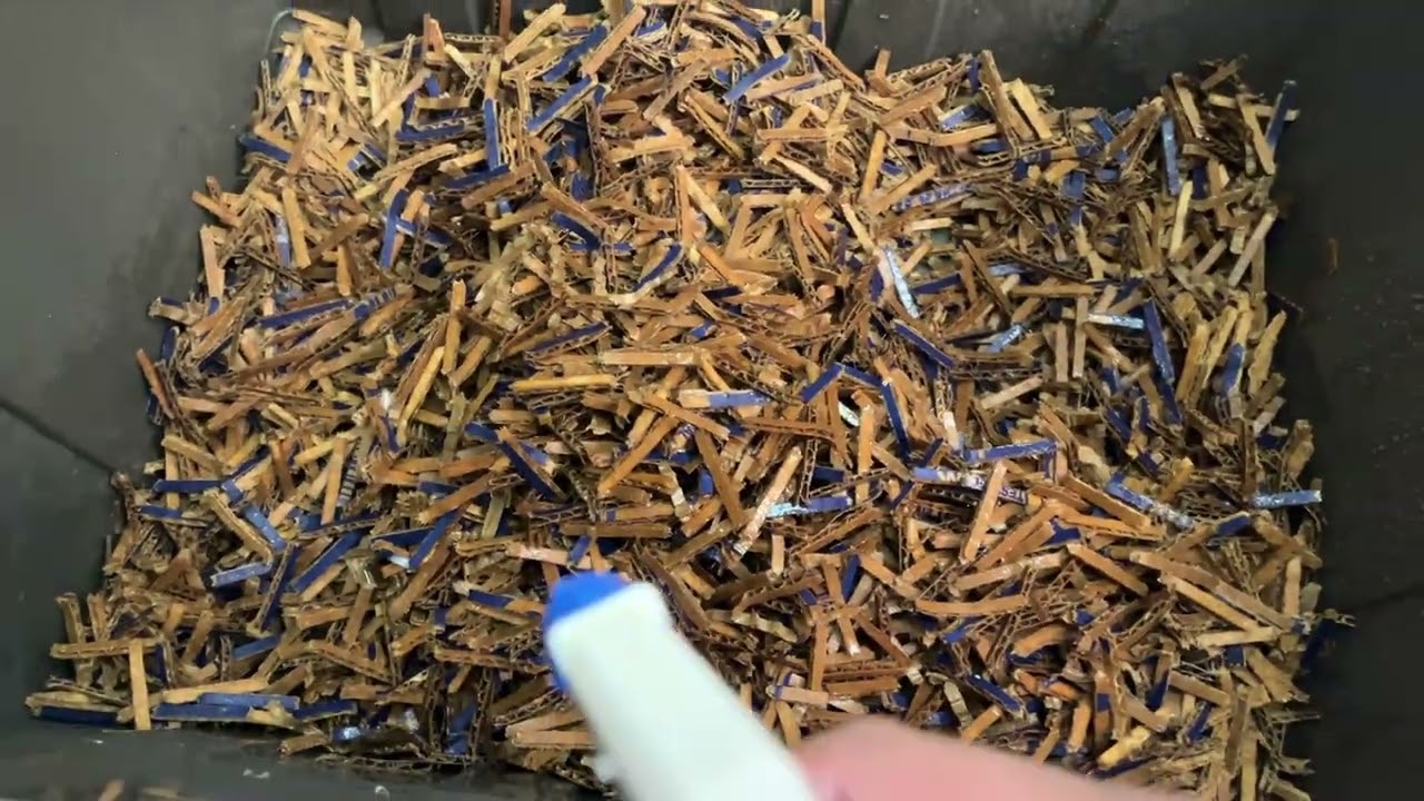 The Meticulous Misting & The Productive Pouring -- Moistening Cardboard for a New Worm Bin