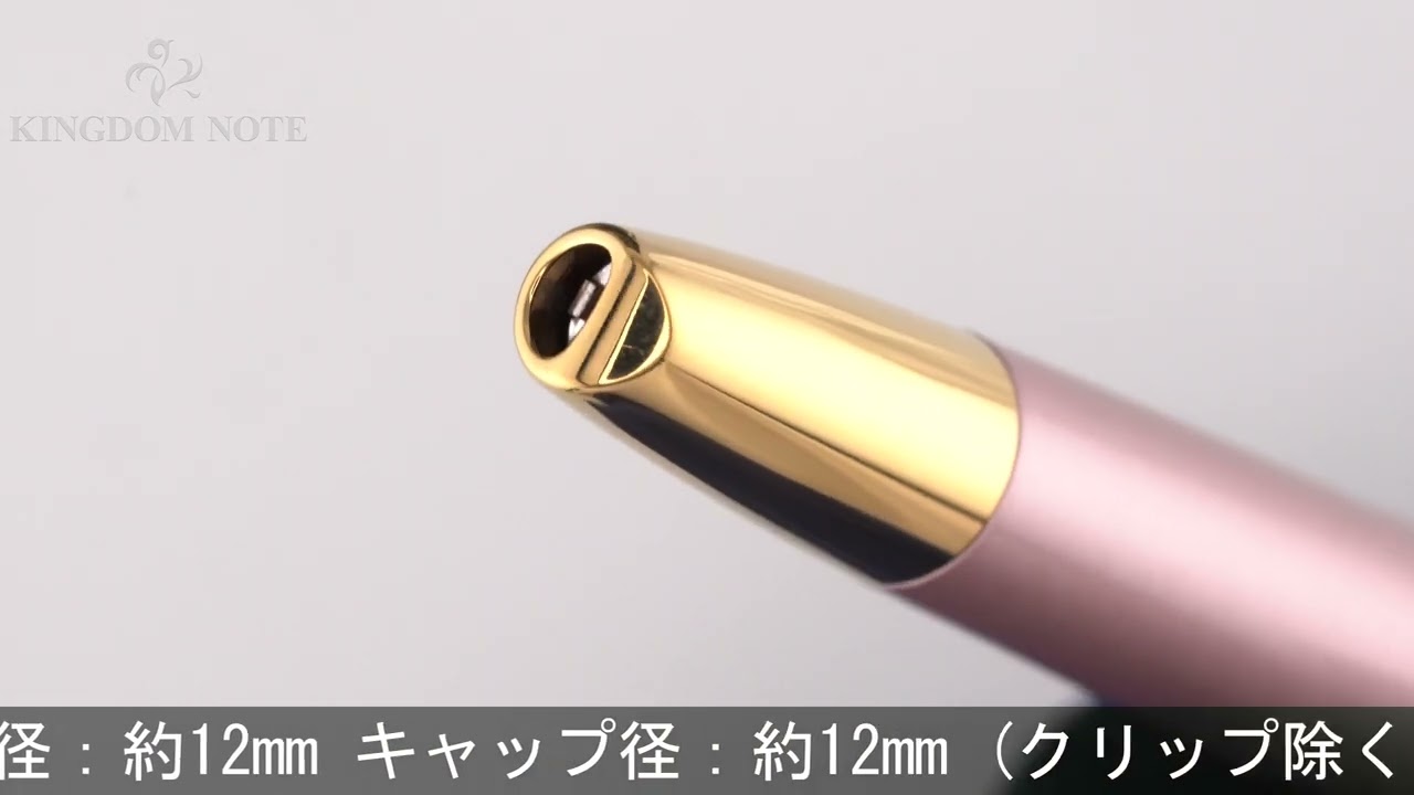 PILOT パイロット 万年筆 2019年限定 キャップレス デシモ メタリック