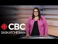 CBC SK News: funding for interpersonal violence prevention, dog seized after drug overdose