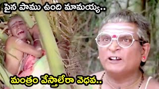 ALLU RAMALINGAIAH JABARDASTH NONSTOP COMEDY SCENE | RAJABABU | SURYAKANTHAM | TELUGU CINE CAFE