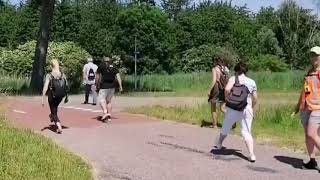 Is Het Een Nieuwe Dans?