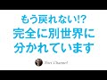 皆んな完全に別世界を生きることになった様です〜情報格差と2極化・分断のお話〜