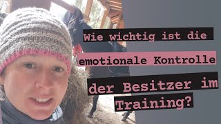 Frag den Trainer: Emotionale Kontrolle der Besitzer im Training #TrickyHorse erklärt 