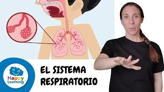 EL APARATO RESPIRATORIO EN LENGUA DE SIGNOS  🫁 💨 👃🏼| Happy Learning