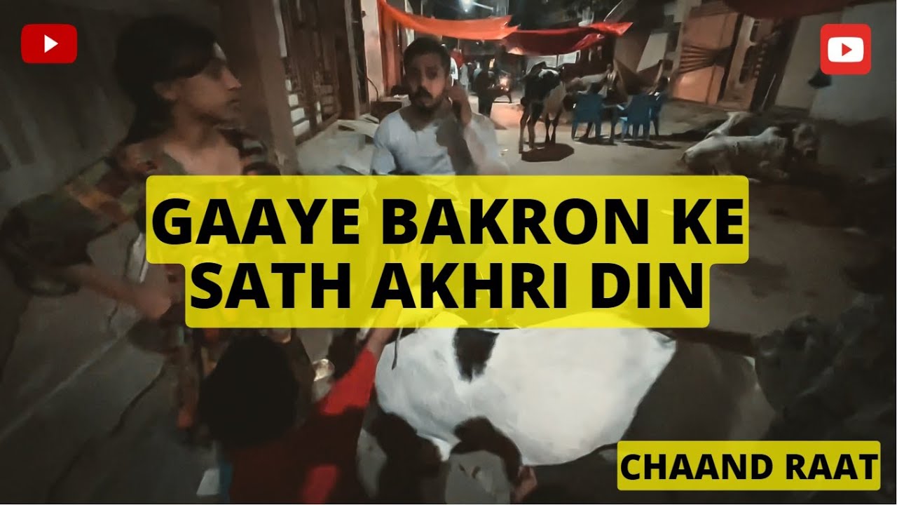 Bakra-EID Chand Raat 2022 | Ronaq e Bakreid | Daily Vlog | Danish DRP