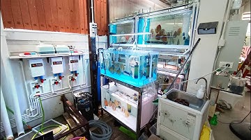 O Bangyai Project 3 - วันทำระบบ Overflow Full Services ตู้ปลา SP 120" + 144" เต็มชุดอุปกรณ์ Set 3