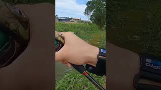 strike of the day #fishing #softplastic #diylure #bassfishing #fishinglife #fishlure #softplastics screenshot 4