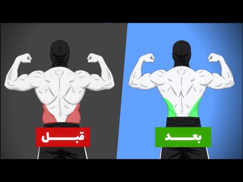 ليه الكرش مش بيروح رغم إنك بتخس
