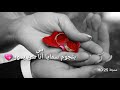 مادام معاي بدر البدور 💕