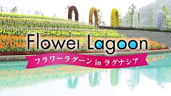 フラワーラグーン Youtube