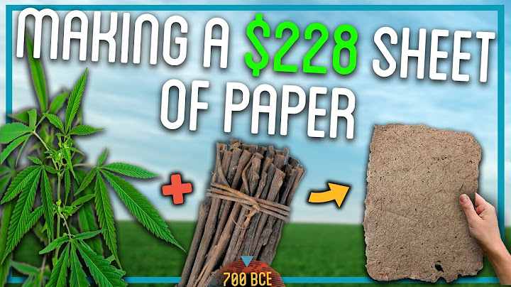 Making Paper Out Of Trees (100% From Scratch)