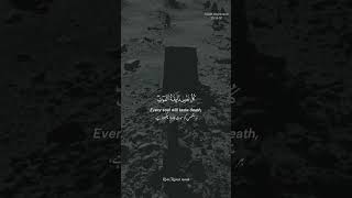 Surah Al-Ankabut relaxing recitation by Abdul Rahman mossad #quran #translation #subtitles #english