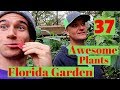 30+ Amazing Plants for your Florida Garden!