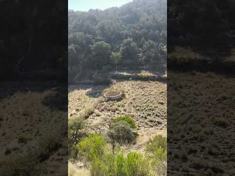 جبل شيري 