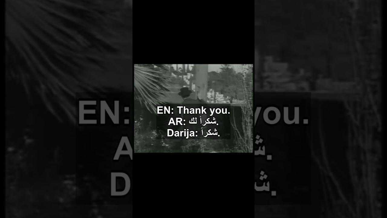 Thank you. | Learn English from Movies | Part 21