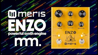 MusicMaker Presents - MERIS ENZO: What A Guitar Synth Pedal Should Sound Like! @MerisUs