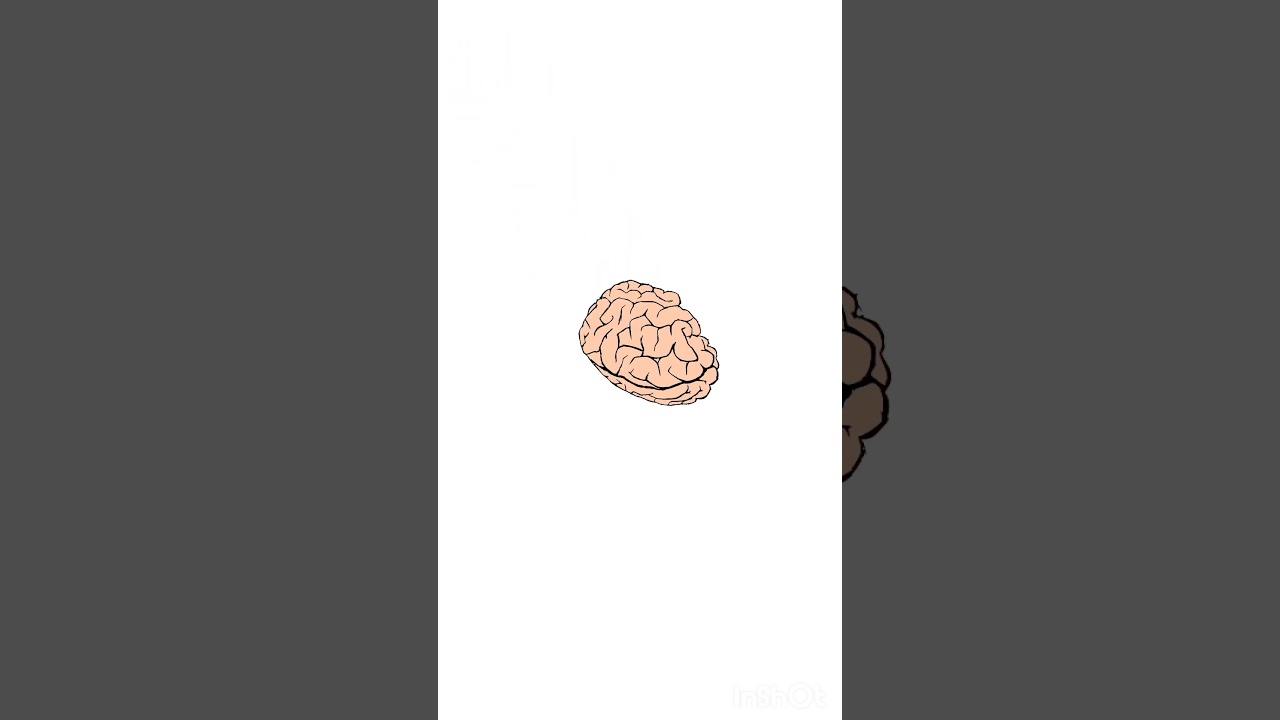 Just watch this