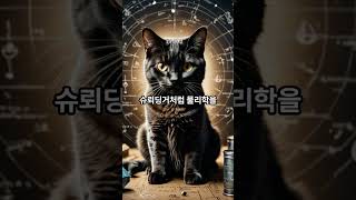 A I 뤼튼이 뇌와 과학 철학과 종교의 지속적 탐구에 답하다