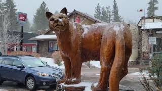 A Day In The SoCal Mountains | BIG BEAR, RUNNING SPRINGS, CA   2.22.22