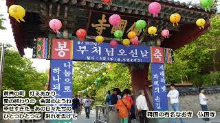 愛鍵　秋元順子　hide560　154　韓国カラオケ
