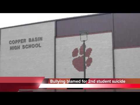 Copper Basin High School suicides