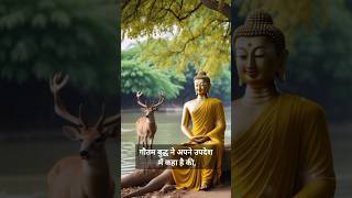 गौतम बुद्ध के उपदेश : Buddhist Motivation #buddha #74 #motivation #budhainspired