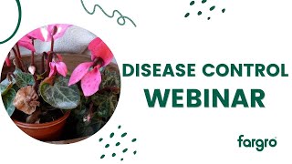 Disease management with Syngenta Ornamentals