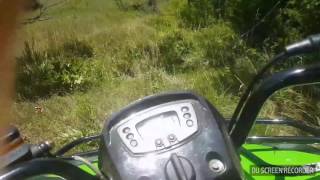 New 2016 Arctic Cat 300 Joy Riding