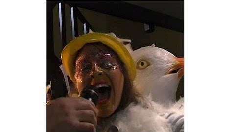 Most gull-able contestants? Seaside town holds bird-impersonating contest
