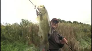 YUKI ITO 爆発トップ! 「X-PLOSE」 MEGABASS