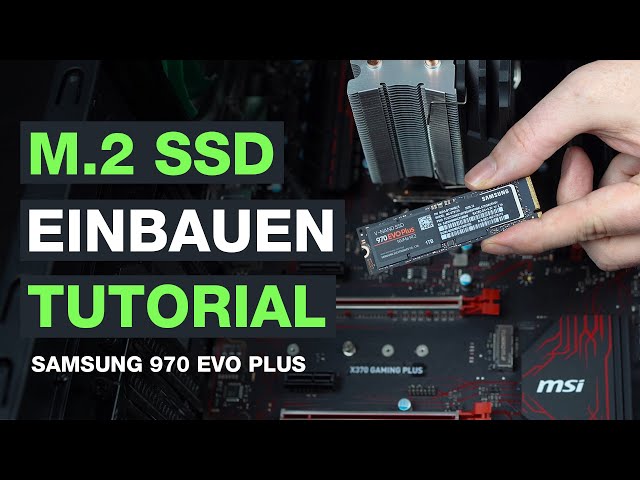 SAMSUNG 970 EVO Plus Festplatte Retail, 2 TB SSD M.2 via NVMe, intern 2  Festplatte Schwarz kaufen