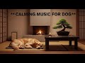12 hours of Ultimate Relaxation Music for Anxious Dogs 😌 Soothing Sounds for Deep Sleep &amp; Relief