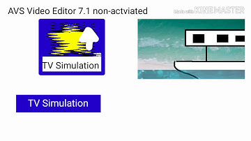 AVS Video Editor Tutorial Video Effects : TV Simulation