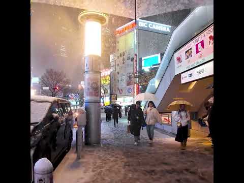 Tokyo Shibuya Cyber