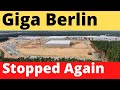 Tesla Giga Berlin Again Stopped From Clearing Pine Forest For Battery Plant