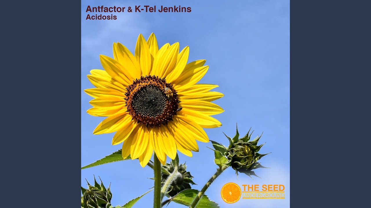 Watch Acidoses (Antfactor Mix) on YouTube Watch Acidoses (Antfactor Mix) on YouTube